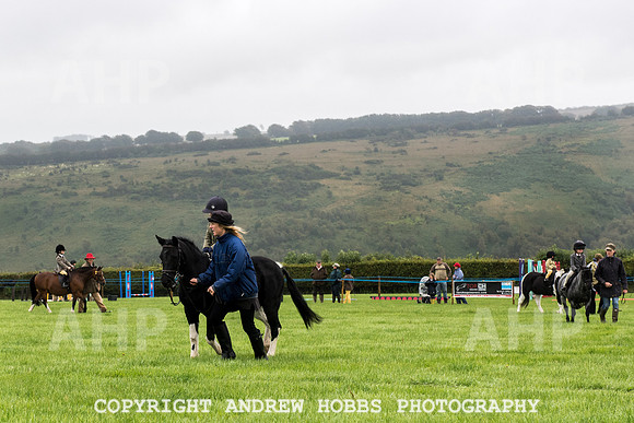 Hawkridge Revel and Gymkhana 2015-3893