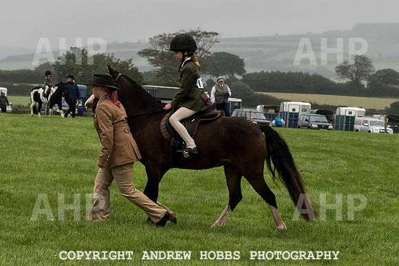 Hawkridge Revel and Gymkhana 2015-3895
