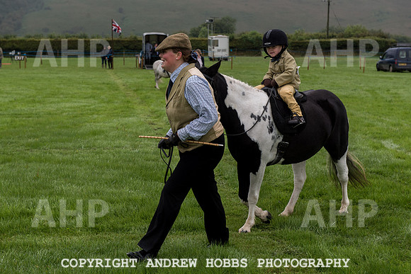 Hawkridge Revel and Gymkhana 2015-3900