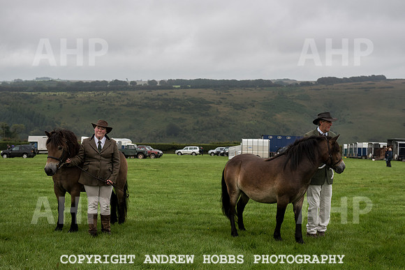 Hawkridge Revel and Gymkhana 2015-3946