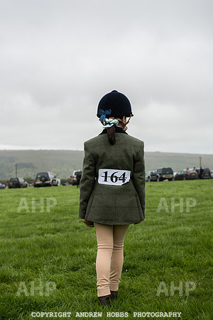 Hawkridge Revel and Gymkhana 2015-3959