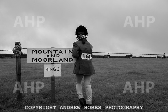 Hawkridge Revel and Gymkhana 2015-4009
