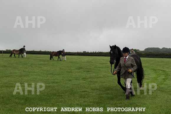 Hawkridge Revel and Gymkhana 2015-4011