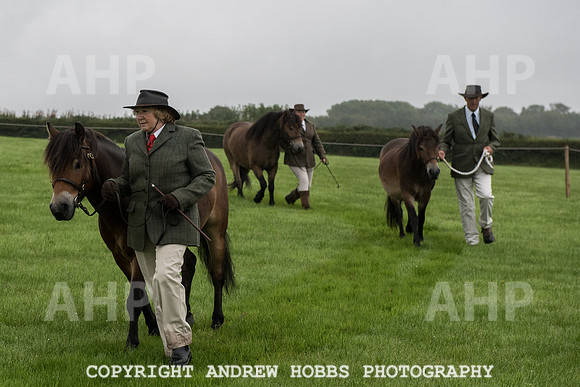 Hawkridge Revel and Gymkhana 2015-4014