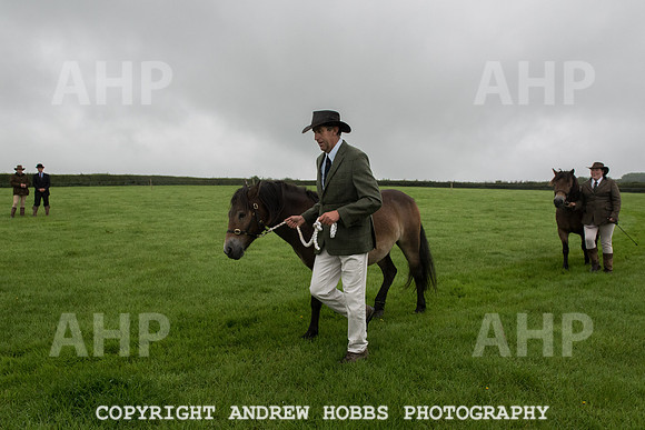 Hawkridge Revel and Gymkhana 2015-4017