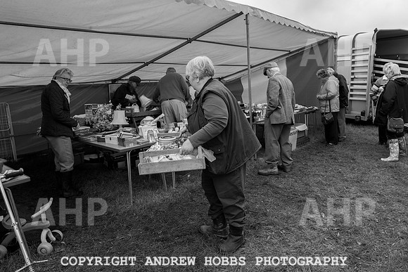Hawkridge Revel and Gymkhana 2015-4080