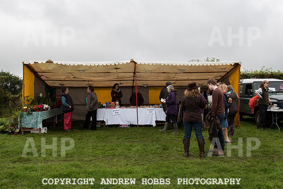 Hawkridge Revel and Gymkhana 2015-4081