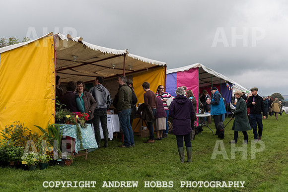 Hawkridge Revel and Gymkhana 2015-4085