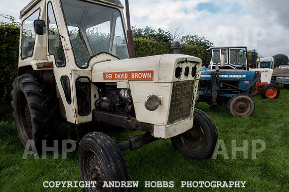 Hawkridge Revel and Gymkhana 2015-4109