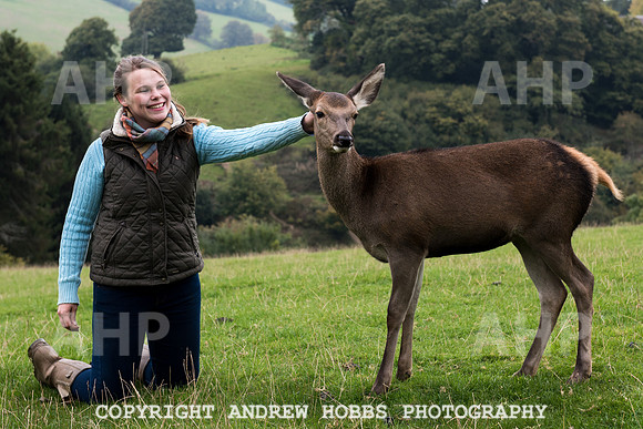 Abby Westcott - deer farm-5543