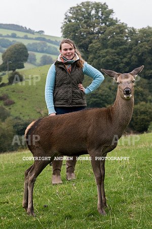 Abby Westcott - deer farm-5507