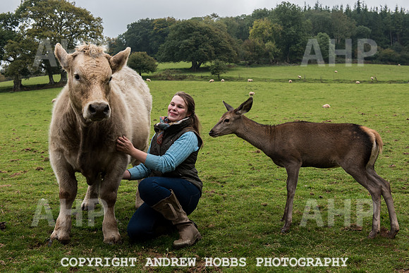 Abby Westcott - deer farm-5619
