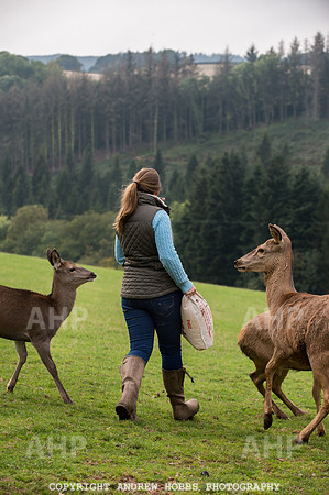 Abby Westcott - deer farm-0232