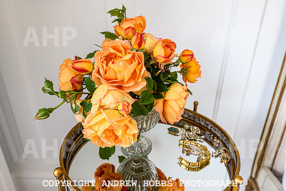 The Old Vicarage - Over Stowy- June 2013-4706
