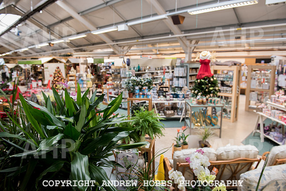 Ashford Wyevale Garden Centre - Santa-6532