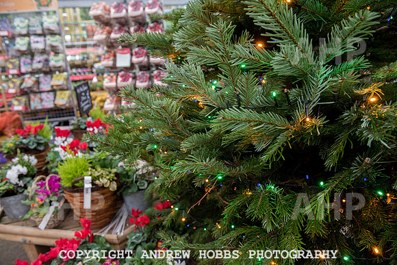 Wyevale Christmas breakfast and tinsel-7828