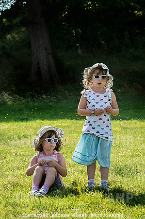 Dunster Country Fair 2014 022