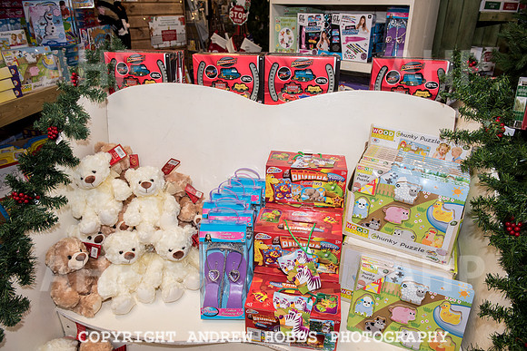 Ashford Wyevale Garden Centre - Santa-6598