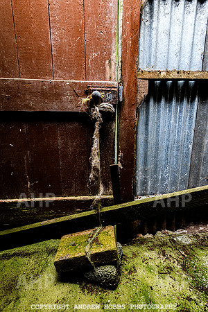 June 2013-4986