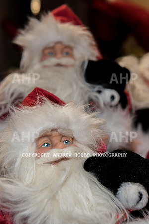 Ashford Wyevale Garden Centre - Santa-6537