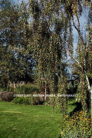 Vellacott Garden 2016-3545