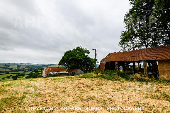 June 2013-4918
