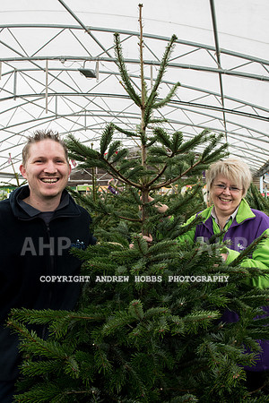 Wyevale ND Hospice Christmas tree-6776