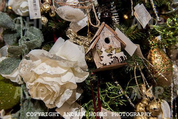 Ashford Wyevale Garden Centre - Santa-6555