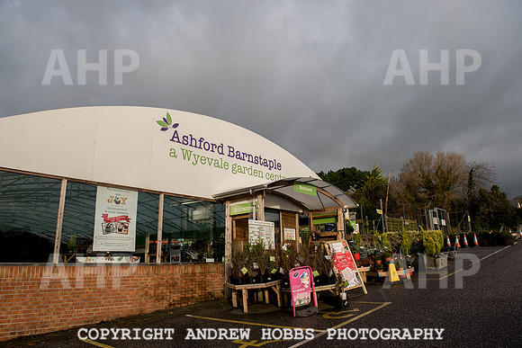 Ashford Wyevale Garden Centre - Santa-6527