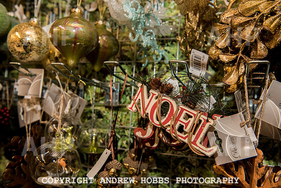 Ashford Wyevale Garden Centre - Santa-6558