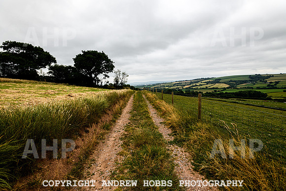 June 2013-5016