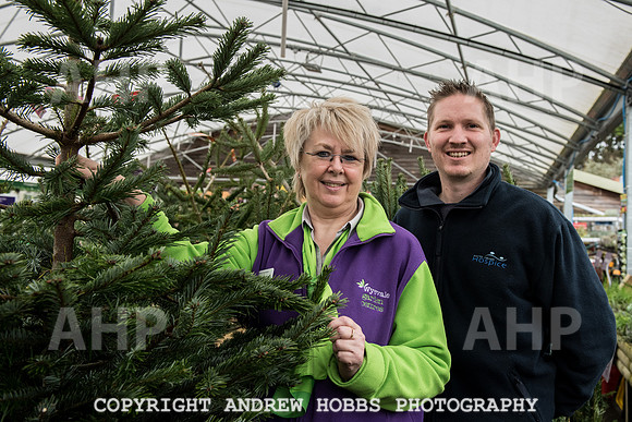 Wyevale ND Hospice Christmas tree-6754
