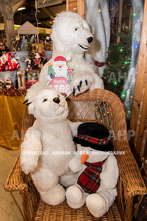 Ashford Wyevale Garden Centre - Santa-6594