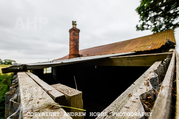 June 2013-5008