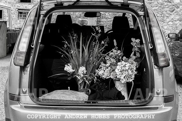 Wambrook Flower Show Centenary 150