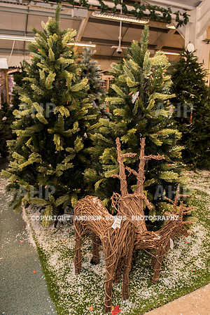 Ashford Wyevale Garden Centre - Santa-6560