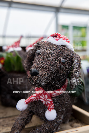 Ashford Wyevale Garden Centre - Santa-6530