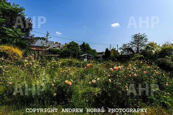 The Old Vicarage - Over Stowy- June 2013-4857