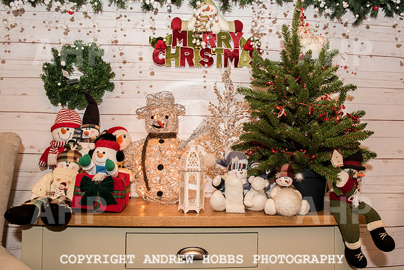 Ashford Wyevale Garden Centre - Santa-6592