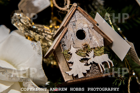 Ashford Wyevale Garden Centre - Santa-6556