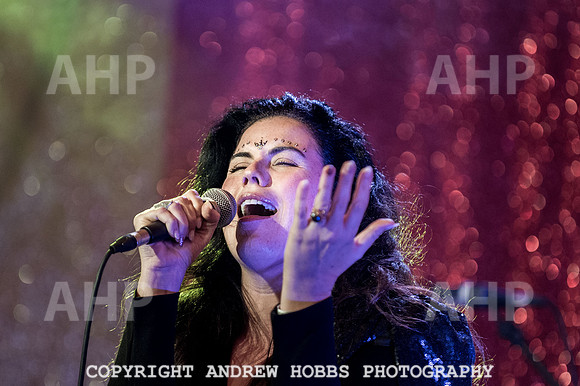 Watchet Festival 2016-5662