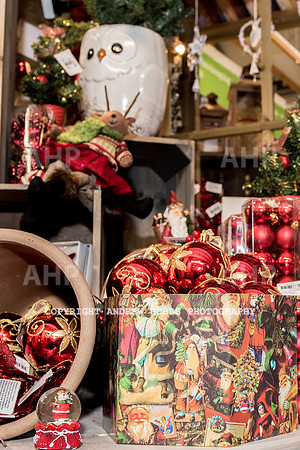 Ashford Wyevale Garden Centre - Santa-6548