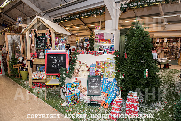 Ashford Wyevale Garden Centre - Santa-6620