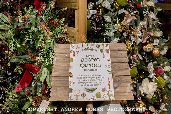 Ashford Wyevale Garden Centre - Santa-6554