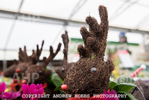 Ashford Wyevale Garden Centre - Santa-6528