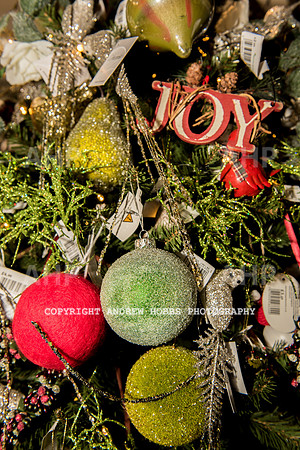 Ashford Wyevale Garden Centre - Santa-6606