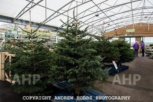 Wyevale Christmas breakfast and tinsel-7808