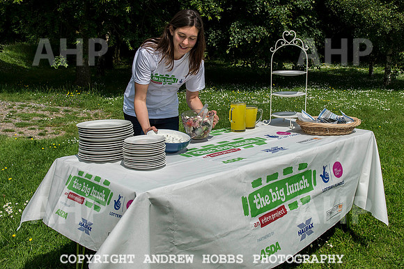 The Big Lunch 2014 022