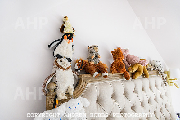 The Old Vicarage - Over Stowy- June 2013-4778