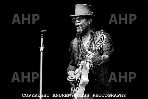 The Dualers - Bearded Theory 2023-2962